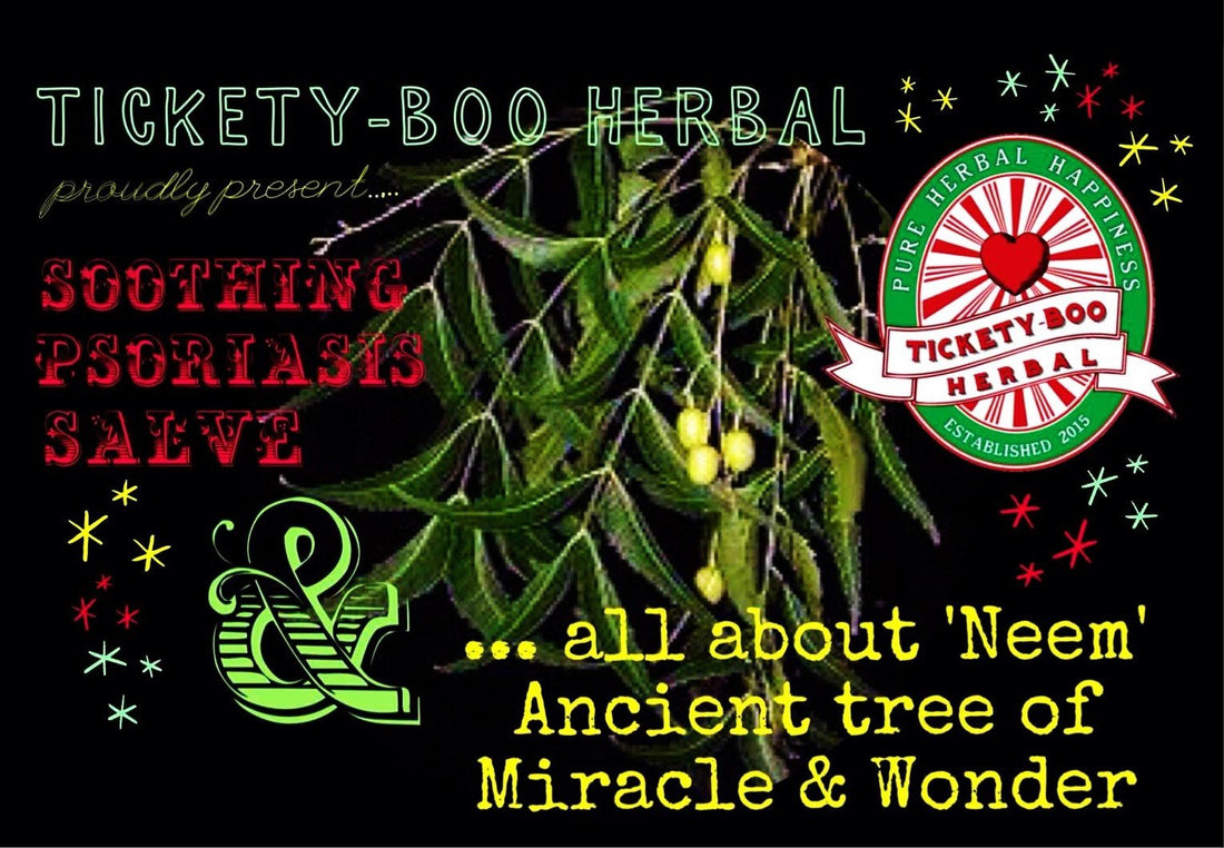 ALL ABOUT 'NEEM' - ANCIENT TREE OF MIRACLE & WONDER