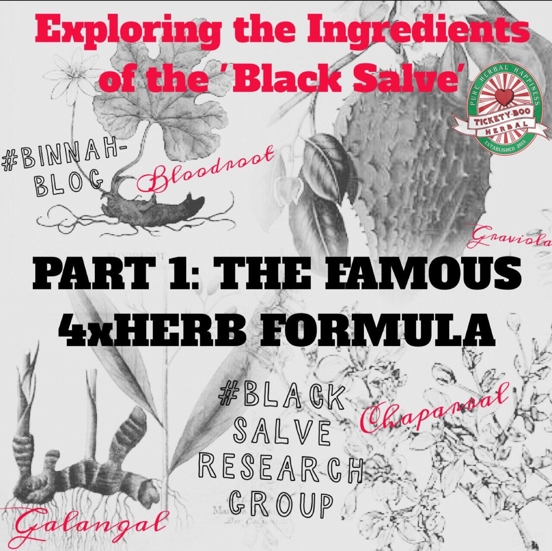 EXPLORING THE INGREDIENTS OF THE 'BLACK SALVE' - PART 1: THE FAMOUS 4XHERB FORMULA