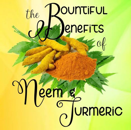 THE BOUNTIFUL BENEFITS OF NEEM & TURMERIC