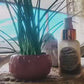 MIRACLE SERUM: PRE-SALE